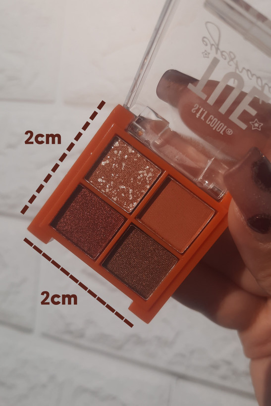 پالت سایه مینی S.F.R چهار رنگ Tuesday در دست با در باز زیر نور طبیعی برای نمایش دقیق رنگ ها